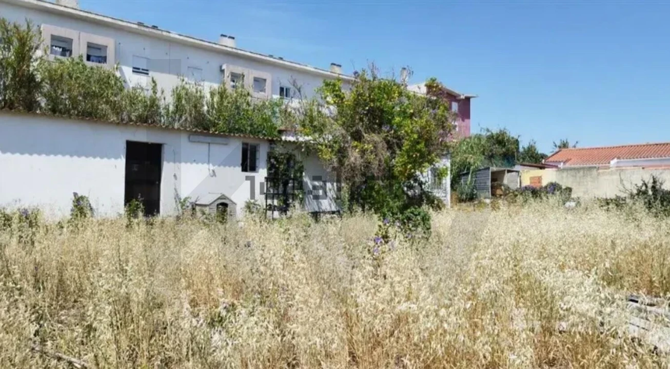 Terreno para Venda em Ajuda Foto 4