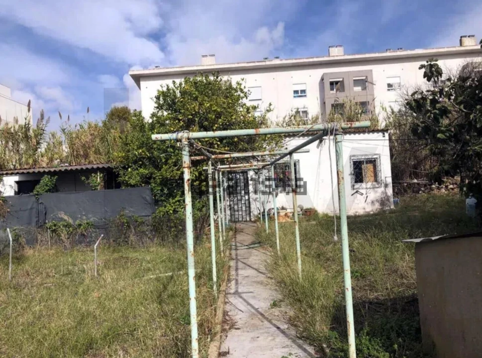 Terreno para Venda em Ajuda Foto 8