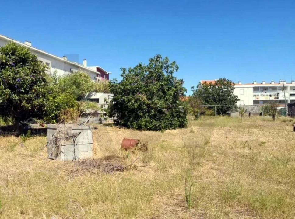 Terreno para Venda em Ajuda Foto 1