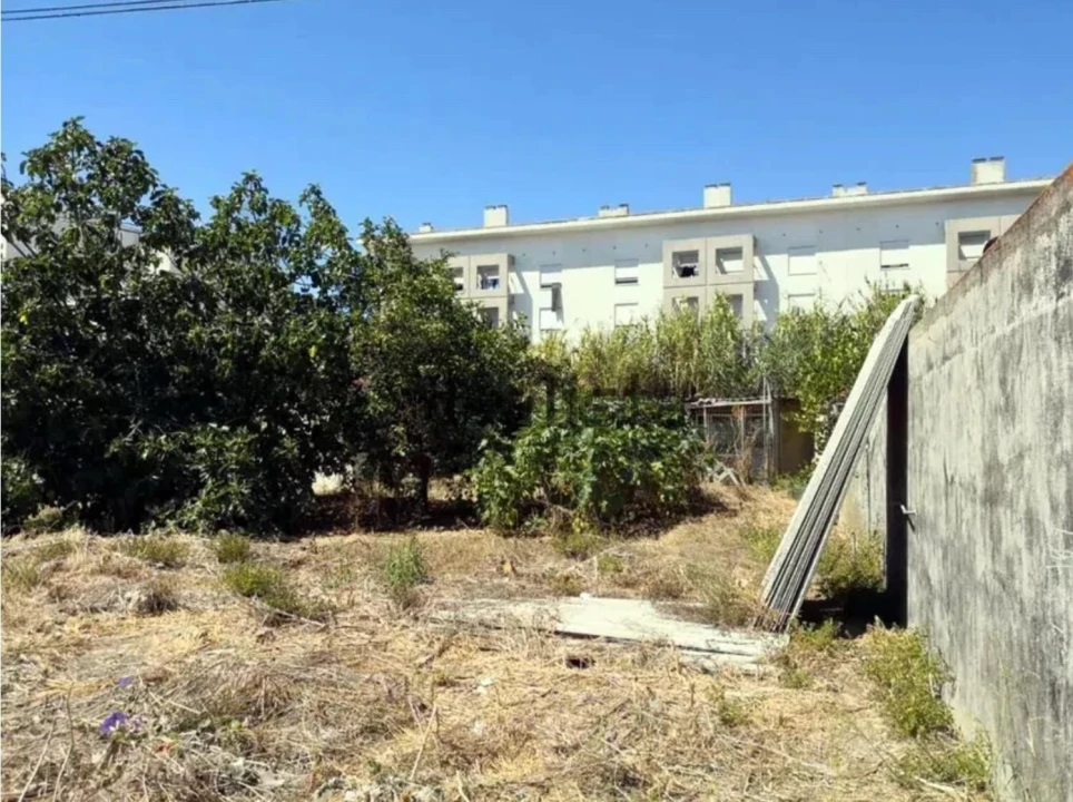 Terreno para Venda em Ajuda Foto 9