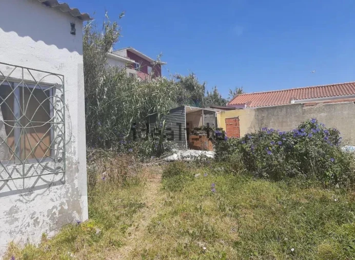 Terreno para Venda em Ajuda Foto 7