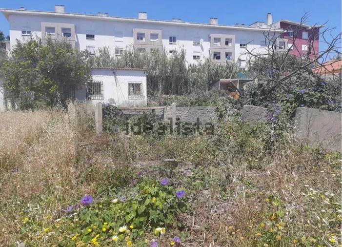 Terreno para Venda em Ajuda Foto 10