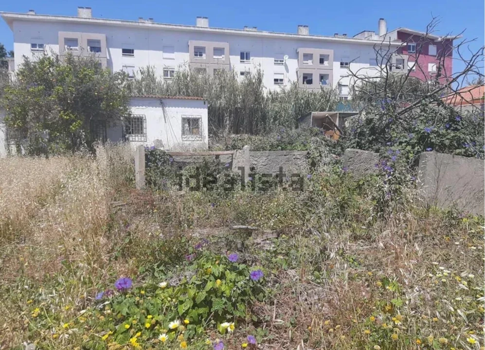 Terreno para Venda em Ajuda Foto 10