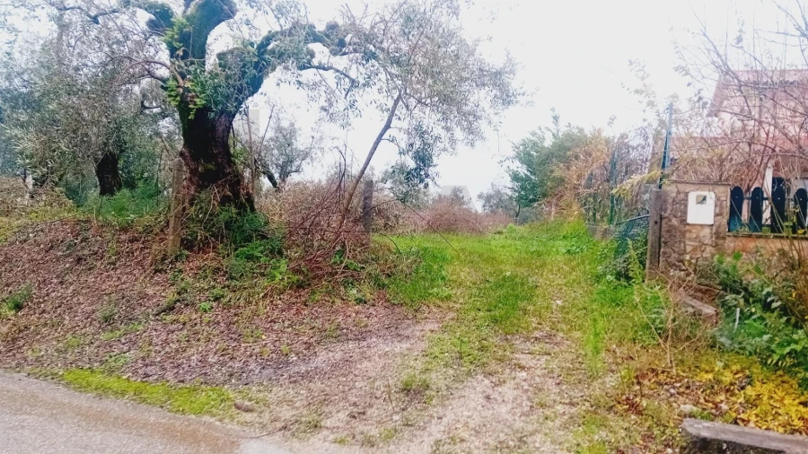 Terreno para Venda em Soure Foto 1