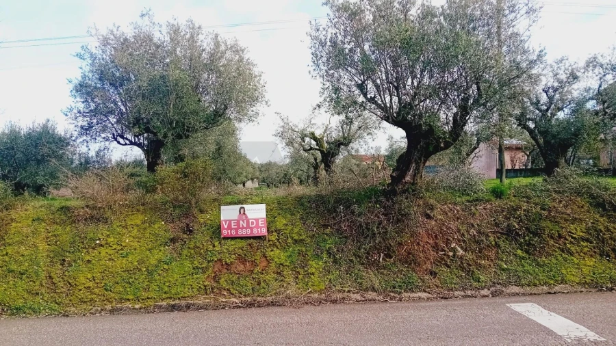 Terreno para Venda em Soure Foto 11