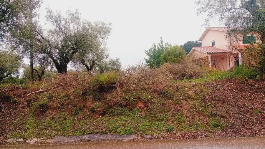 Terreno para Venda em Soure Foto 2