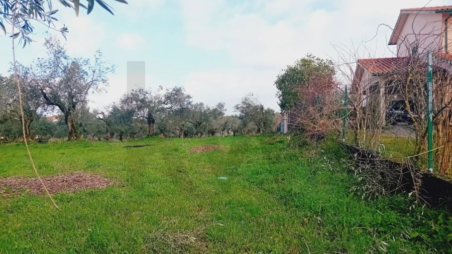 Terreno para Venda em Soure Foto 10