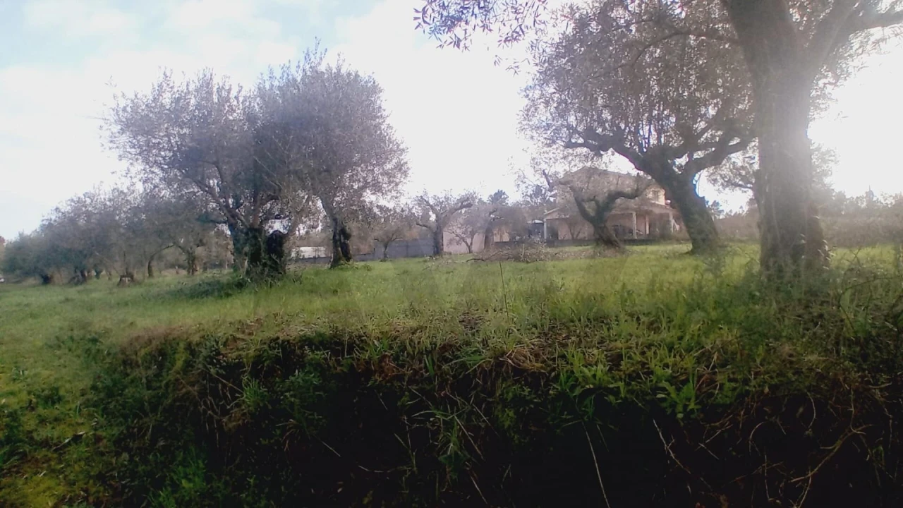 Terreno para Venda em Soure Foto 8