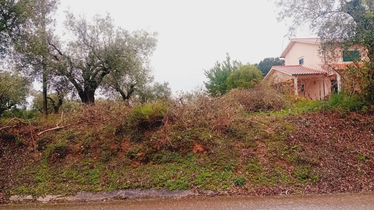 Terreno para Venda em Soure Foto 2