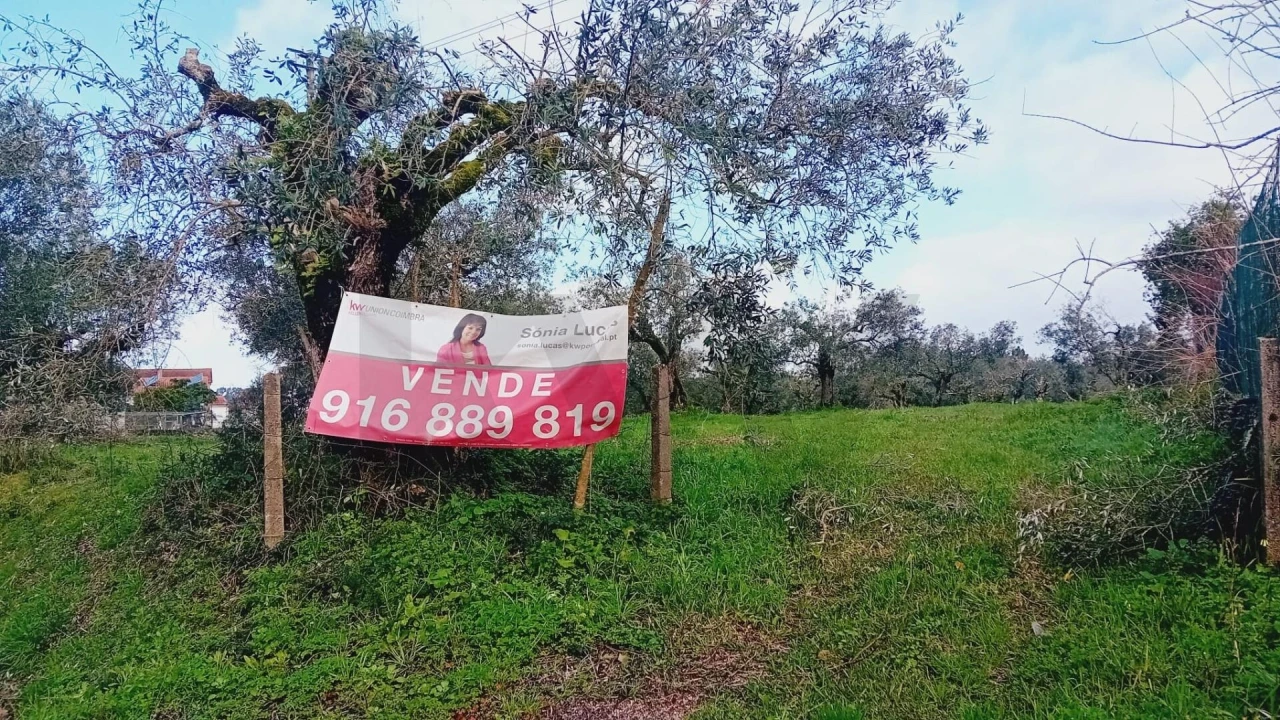 Terreno para Venda em Soure Foto 12