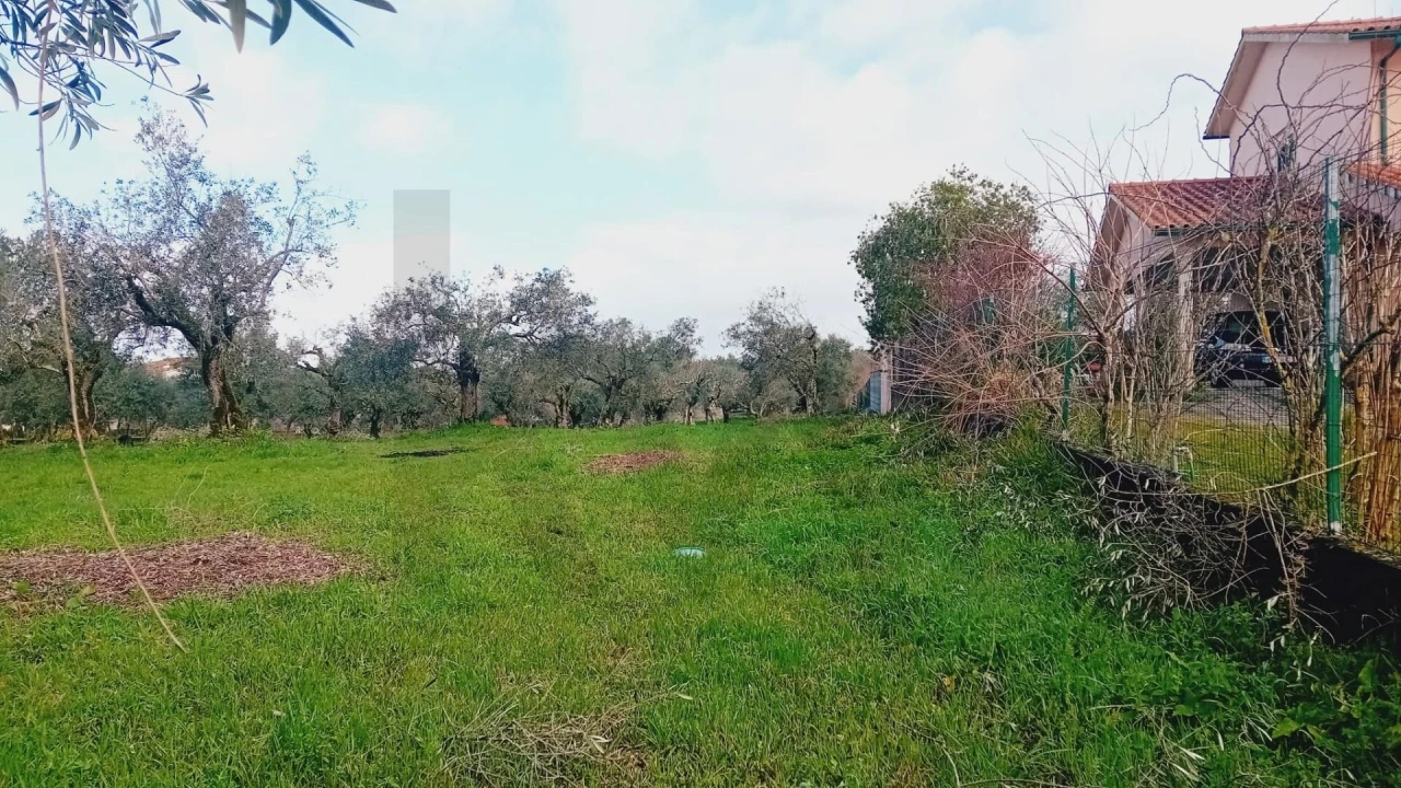 Terreno para Venda em Soure Foto 10