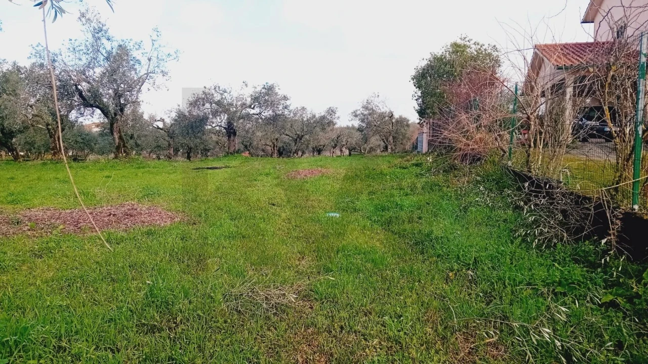 Terreno para Venda em Soure Foto 9