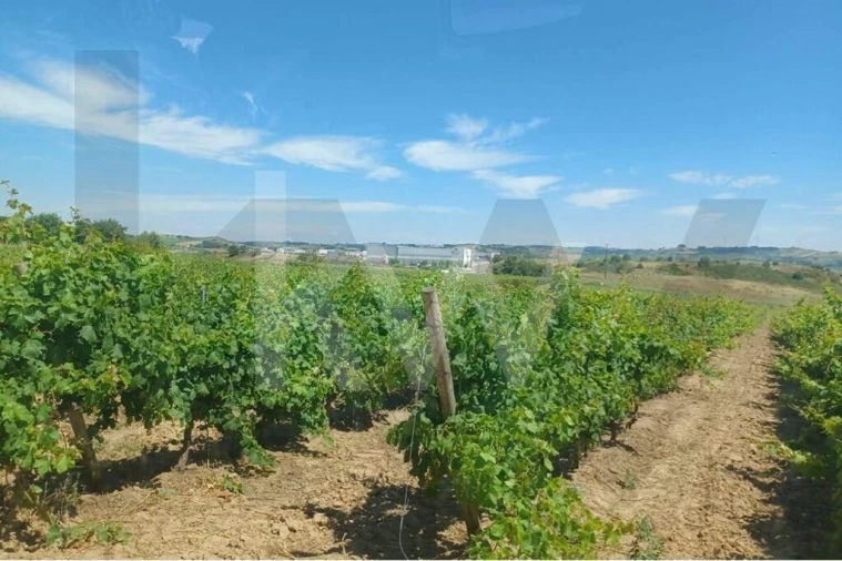 Quinta T4 para Venda em Carvoeira e Carmões