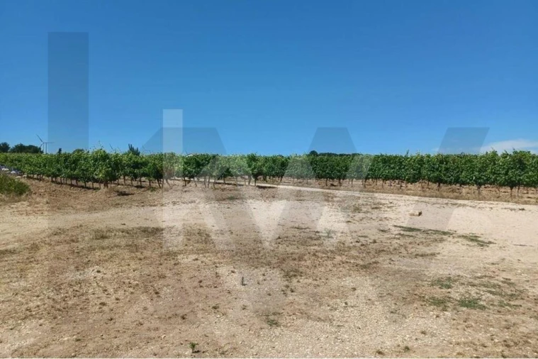 Quinta T4 para Venda em Carvoeira e Carmões Foto 12