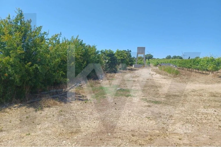 Quinta T4 para Venda em Carvoeira e Carmões Foto 3