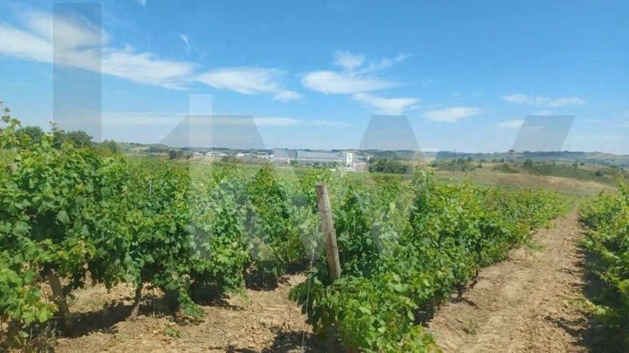 Quinta T4 para Venda em Carvoeira e Carmões