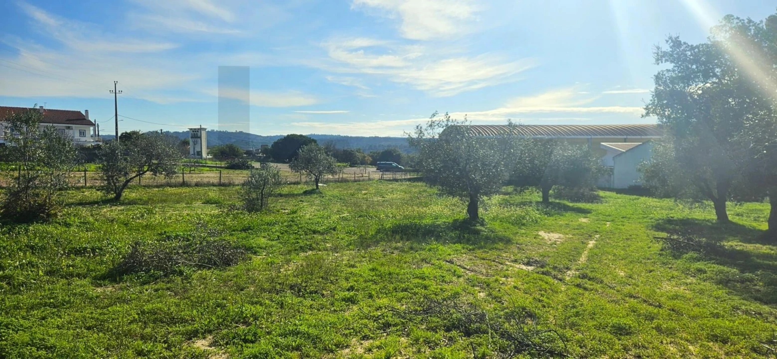 Terreno para Venda em Melides Foto 9