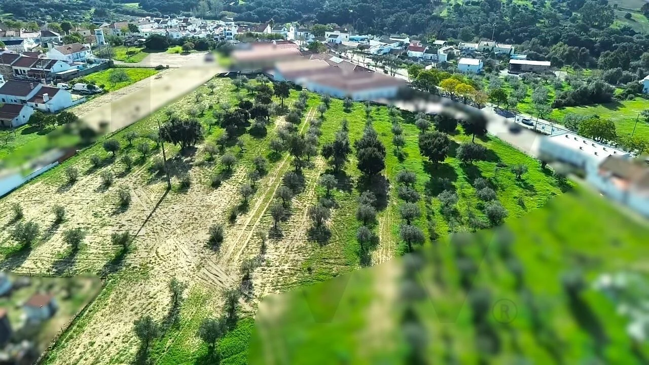 Terreno para Venda em Melides Foto 20