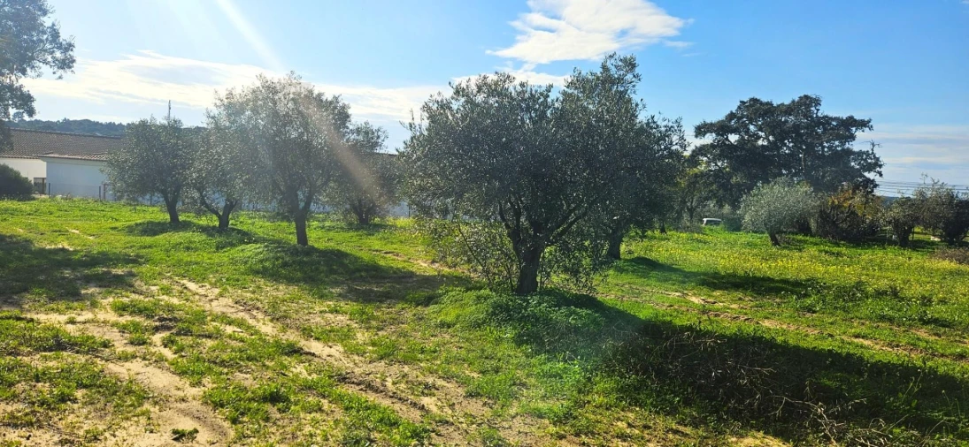 Terreno para Venda em Melides Foto 8