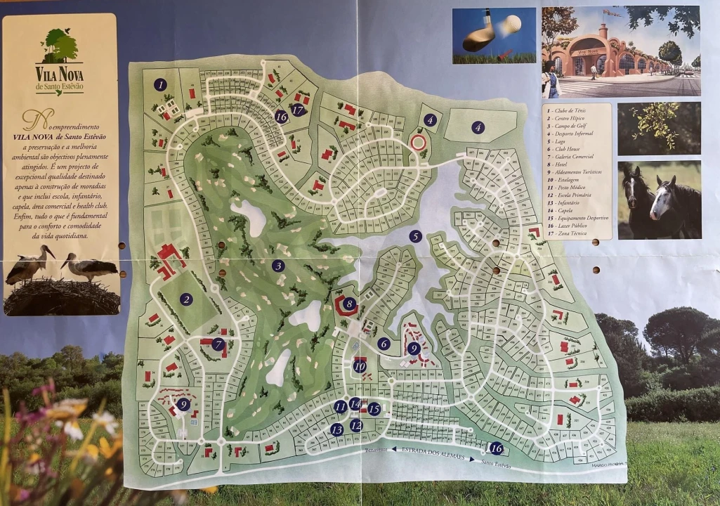 Terreno para Venda em Santo Estêvão Foto 13