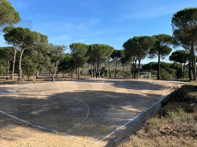 Terreno para Venda em Santo Estêvão Foto 12