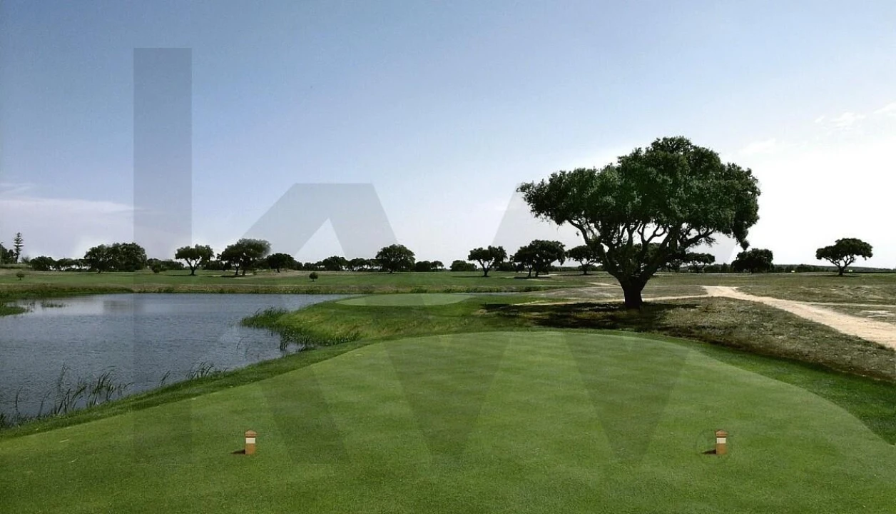 Terreno para Venda em Santo Estêvão Foto 9