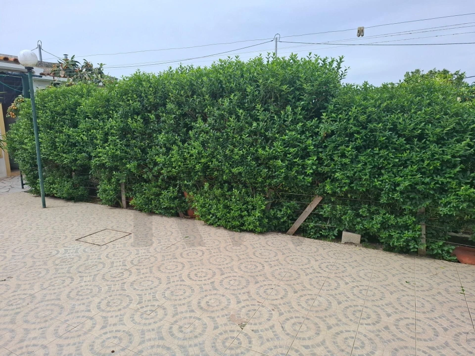 Terreno para Venda em Quinta do Anjo Foto 7