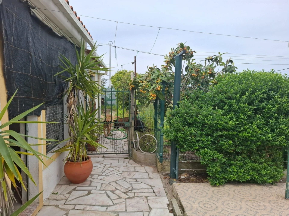 Terreno para Venda em Quinta do Anjo Foto 8