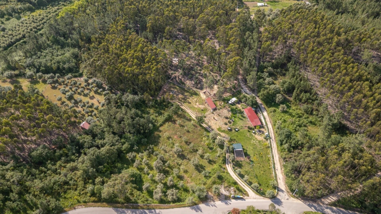 Quinta T5 para Venda em Tapeus Foto 1