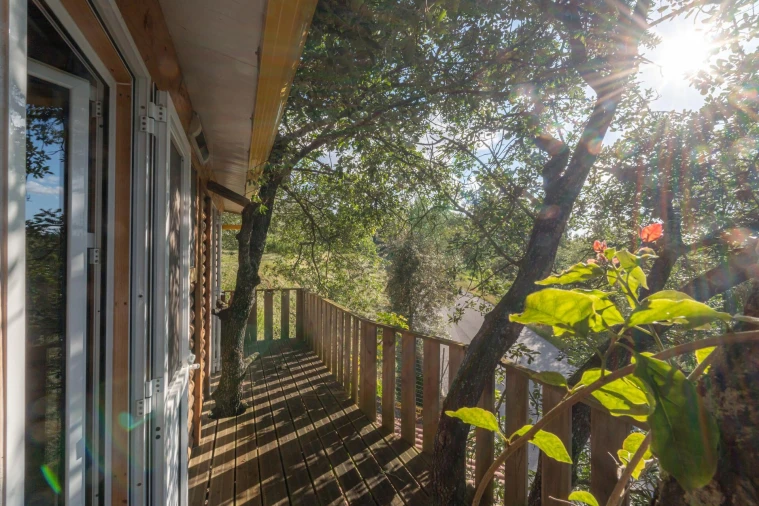 Quinta T5 para Venda em Tapeus Foto 13