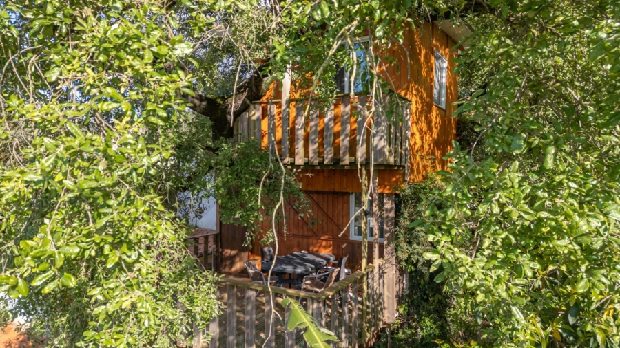 Quinta T5 para Venda em Tapeus Foto 8