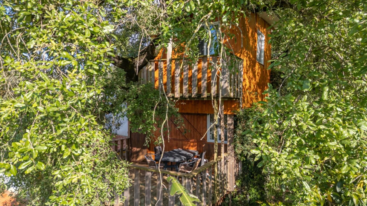 Quinta T5 para Venda em Tapeus Foto 8