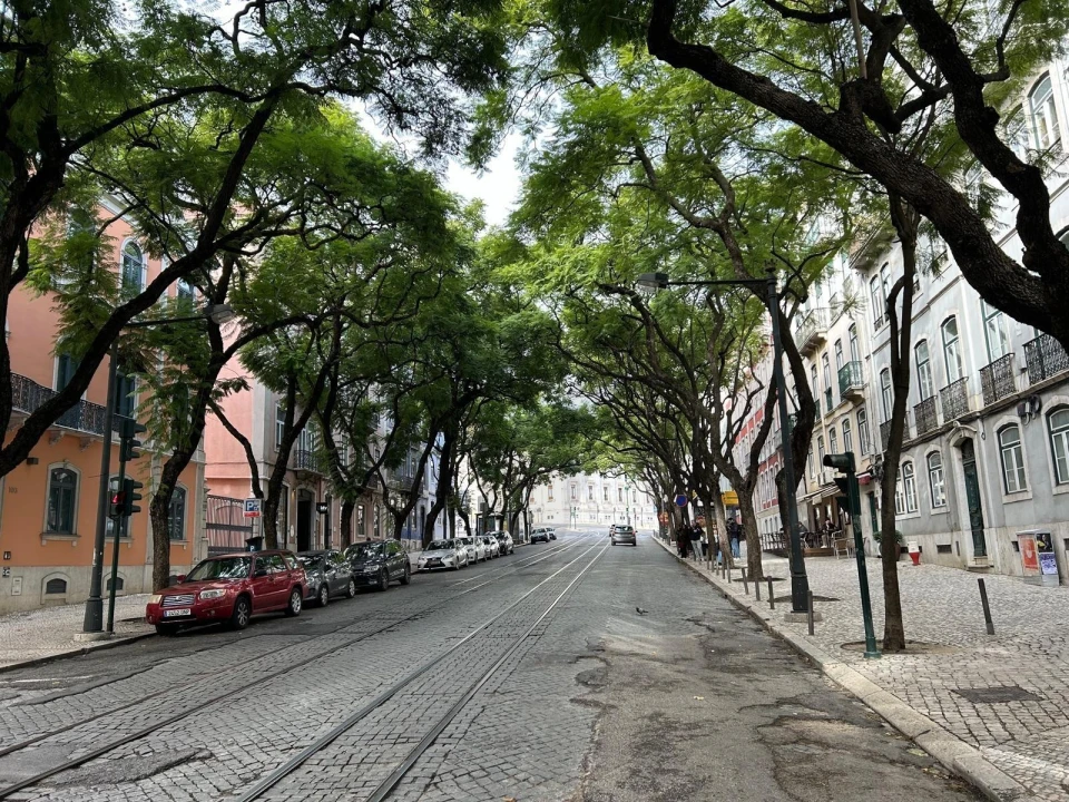 Moradia T1 para Arrendamento em Estrela Foto 40