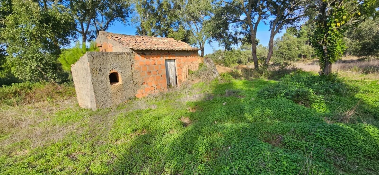Terreno para Venda em Melides Foto 3