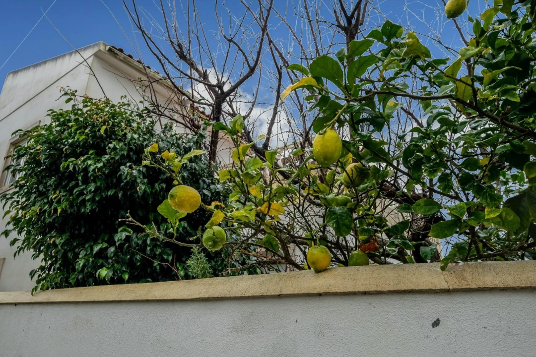 Moradia T3 para Venda em Lourinhã e Atalaia Foto 46