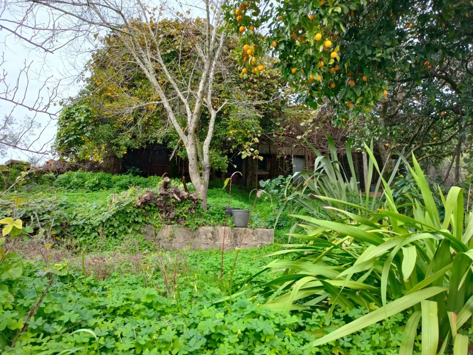 Moradia T1 para Venda em Sazes do Lorvão Foto 30