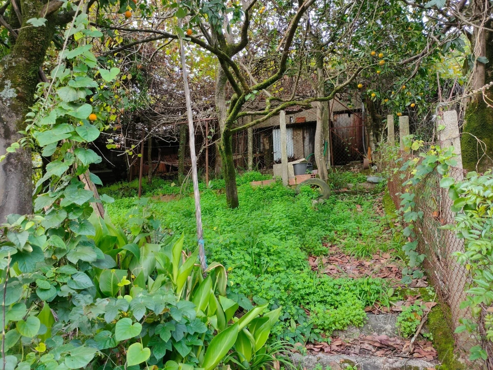 Moradia T1 para Venda em Sazes do Lorvão Foto 31