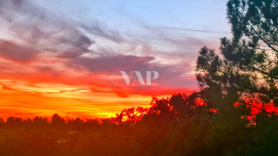 Moradia T4 para Venda em Altura Foto 35