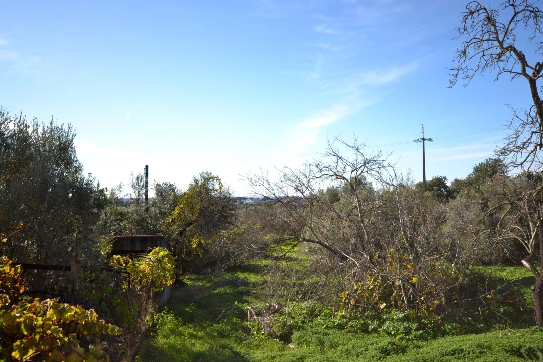 Moradia T4 para Venda em Loule (São Sebastião) Foto 22