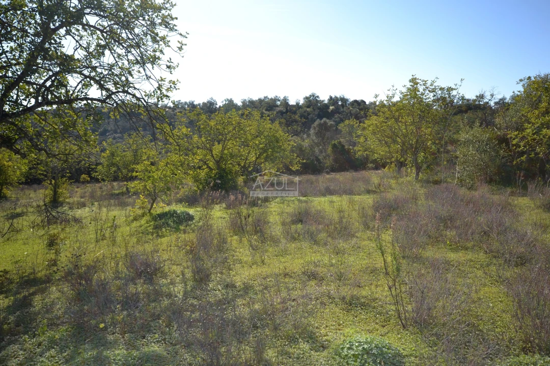 Terreno para Venda em Boliqueime Foto 9