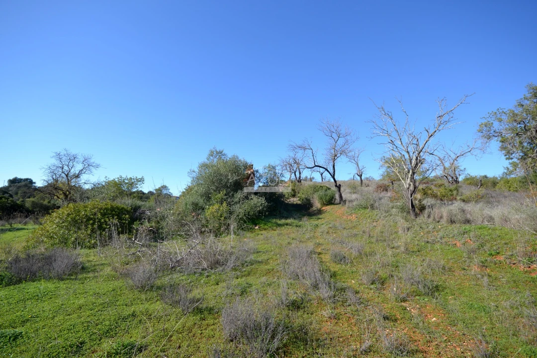 Terreno para Venda em Boliqueime Foto 22