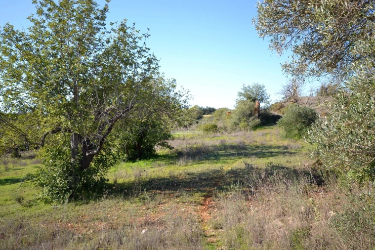 Terreno para Venda em Boliqueime Foto 6