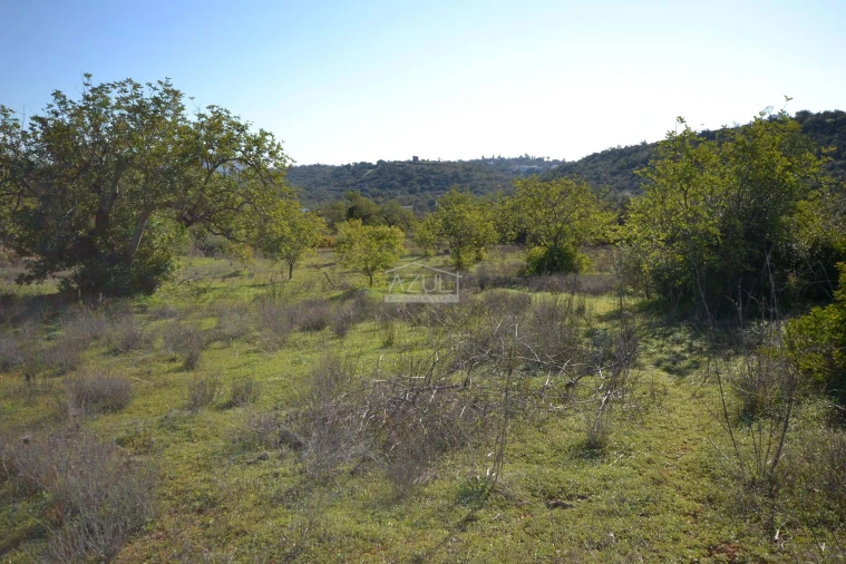 Terreno para Venda em Boliqueime Foto 11
