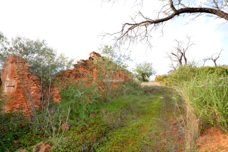 Terreno para Venda em Boliqueime Foto 5