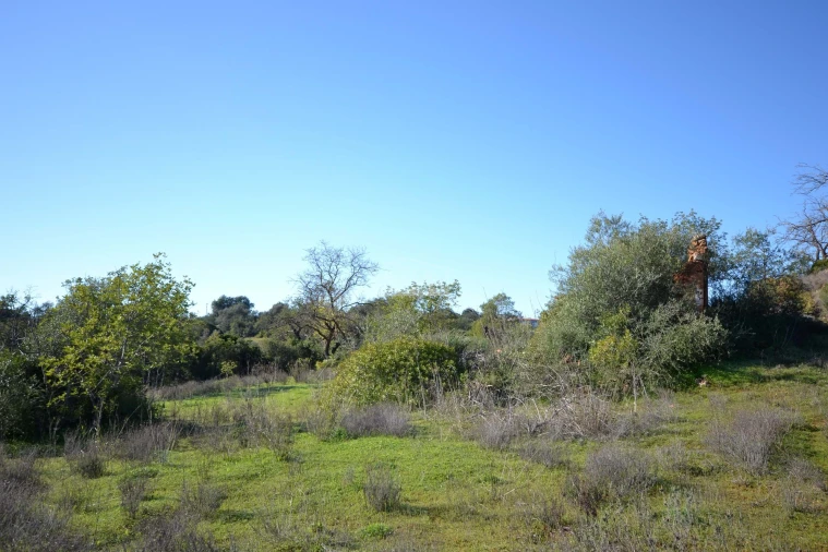 Terreno para Venda em Boliqueime Foto 8
