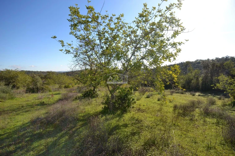 Terreno para Venda em Boliqueime Foto 18