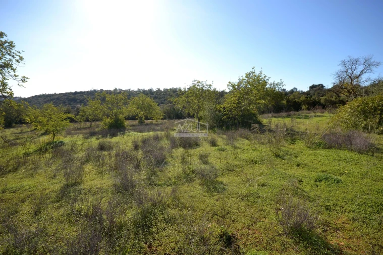 Terreno para Venda em Boliqueime Foto 23