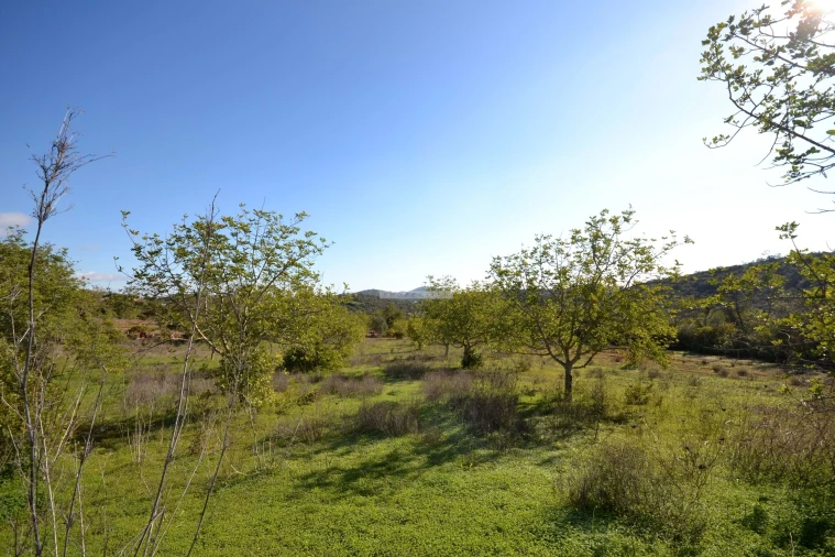 Terreno para Venda em Boliqueime Foto 20