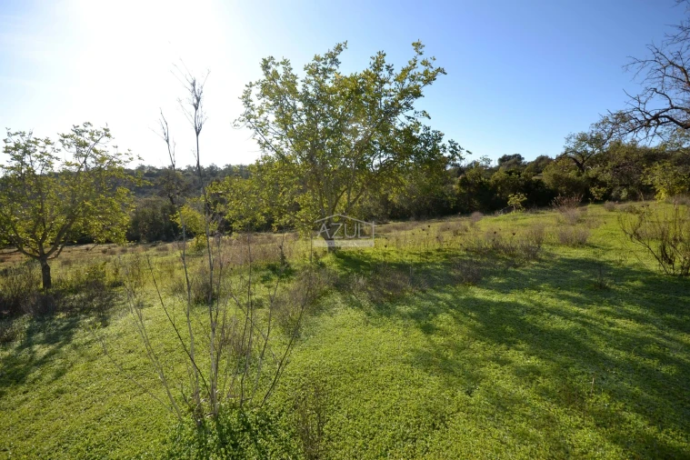 Terreno para Venda em Boliqueime Foto 16