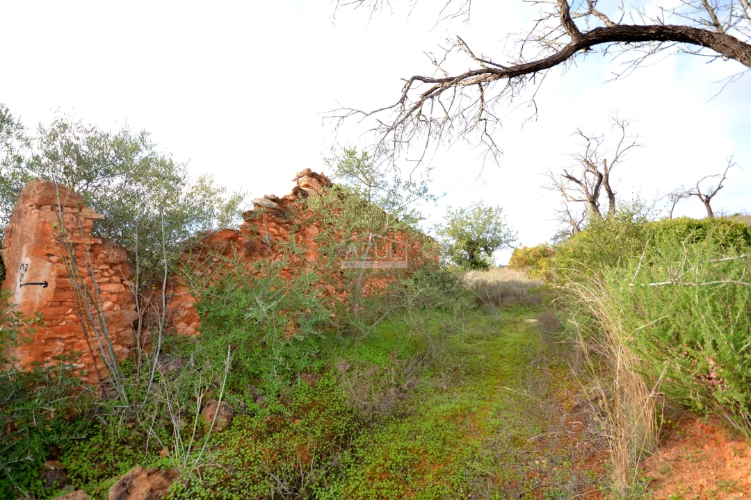 Terreno para Venda em Boliqueime Foto 5